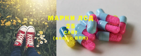сатива Арсеньев