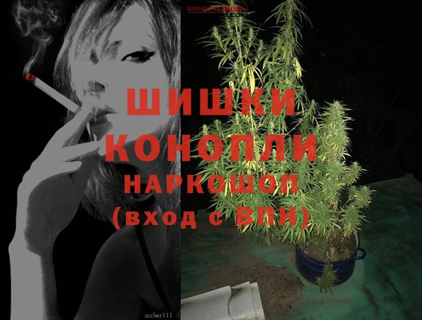 сатива Арсеньев