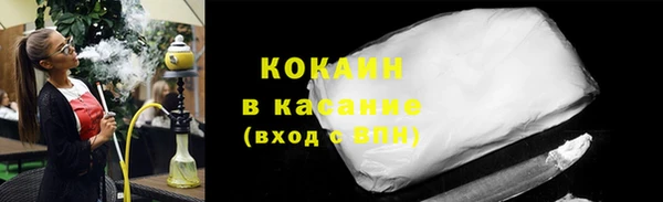 сатива Арсеньев