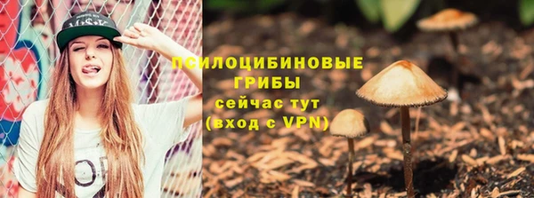 сатива Арсеньев