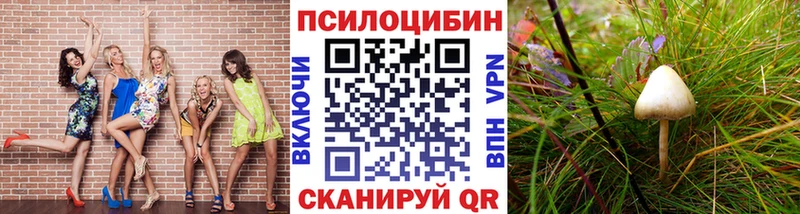 Купить закладки  Северобайкальск  Галлюциногенные грибы прущие грибы 